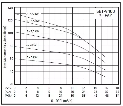 Standart Pompa TH 2xSBT-V 100/3 Dik Milli Kullanım Suyu Hidroforu - 3