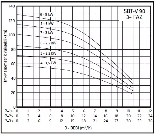 Standart Pompa TH 3xSBT-V 90/9* Dik Milli Kullanım Suyu Hidroforu - 3